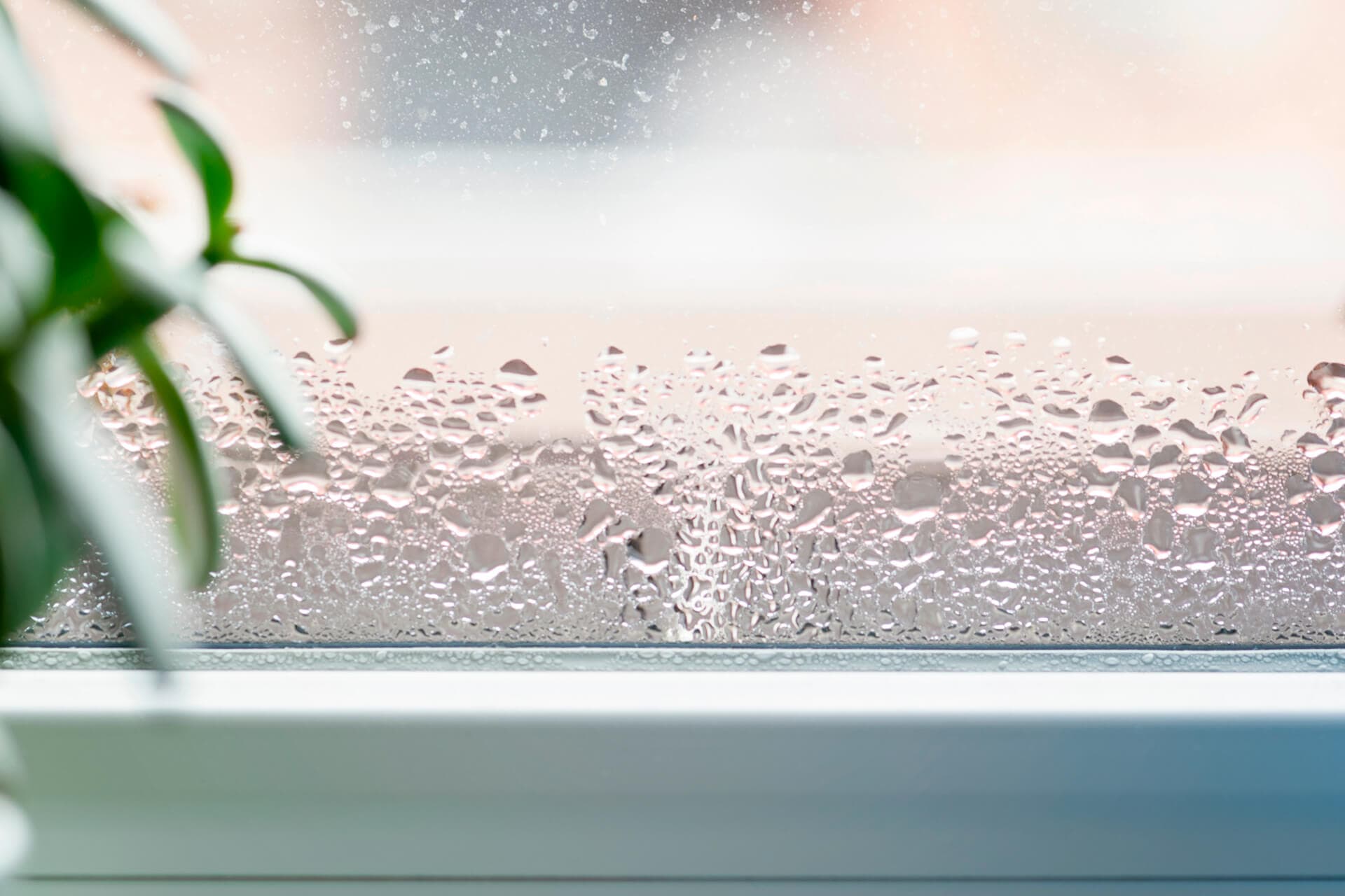 Condensación en ventanas